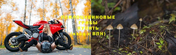 МДПВ Вязники
